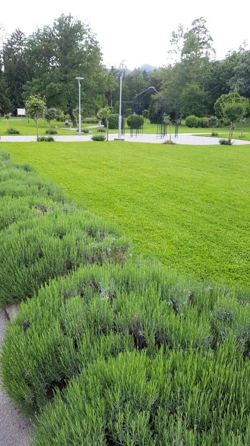 Garni Hotel Zvon Zrece Ngoại thất bức ảnh